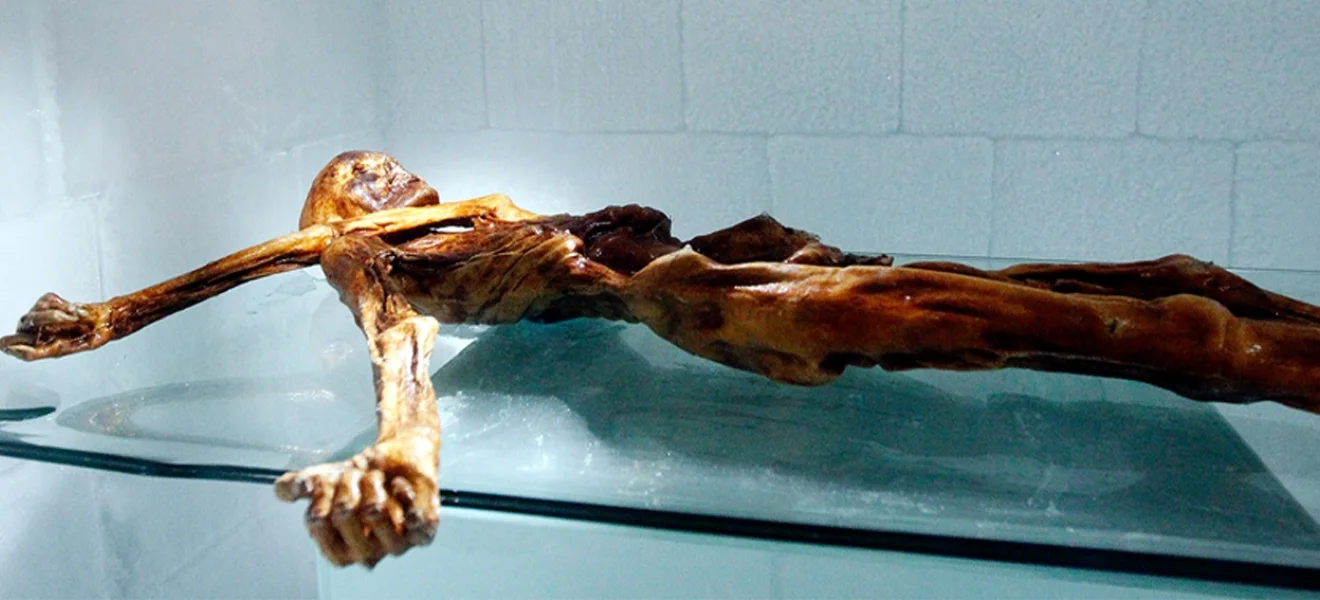 Ötzi’nin mikropları hareketlendi