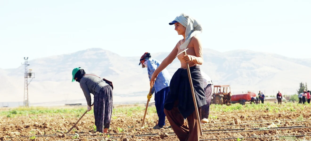850 lira için…