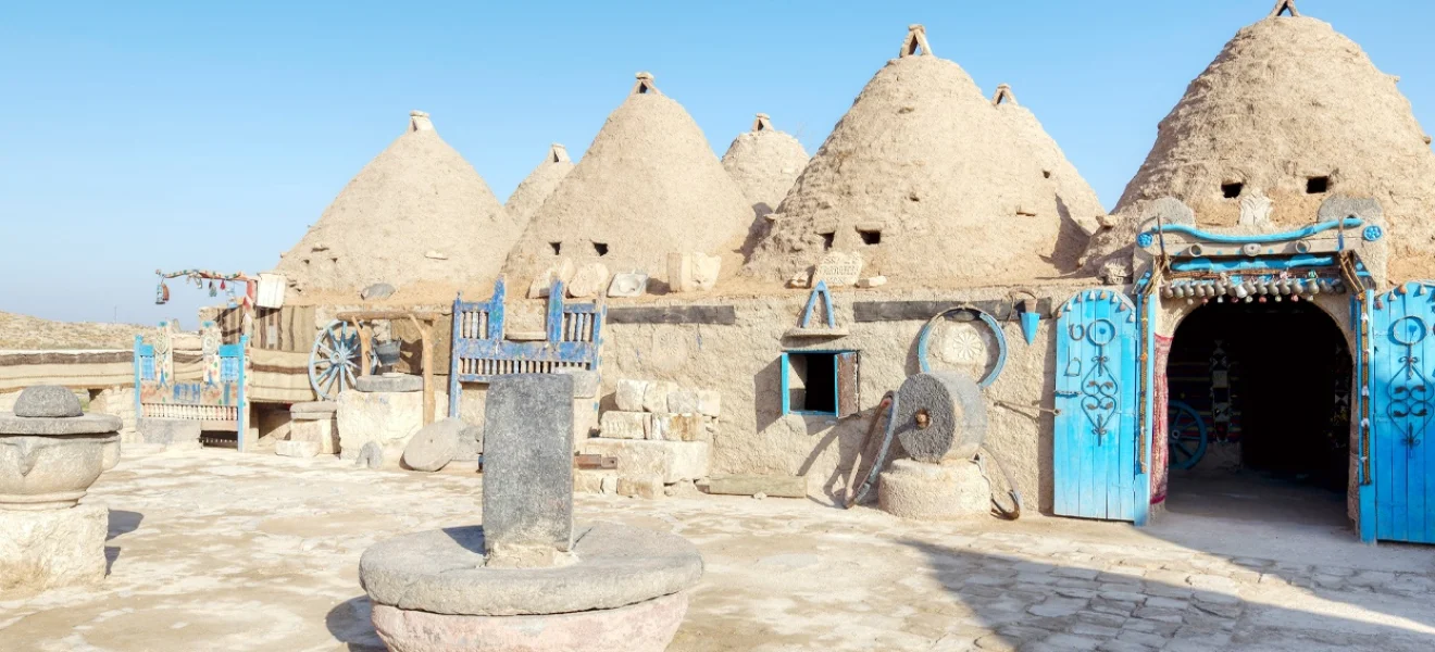 Kerpicin yeniden keşfi