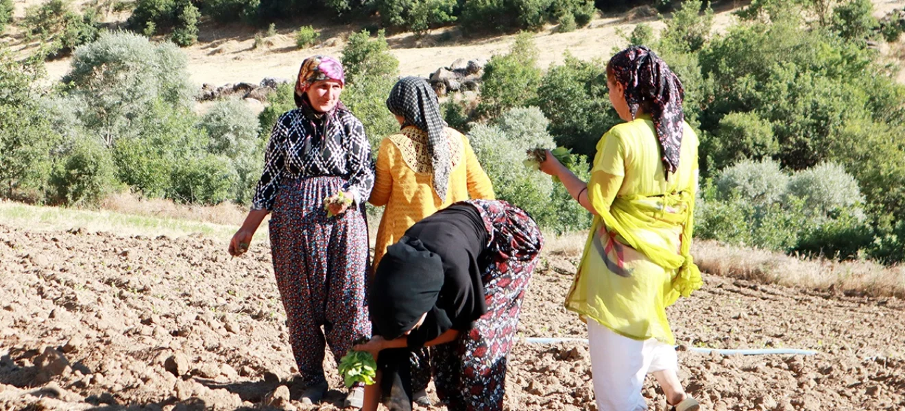 Emekleri ‘duman’ oluyor!