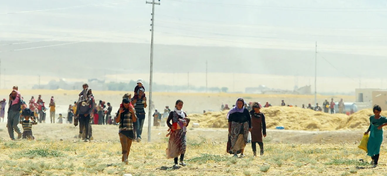 Fermandan yeni bir varlık tarihine