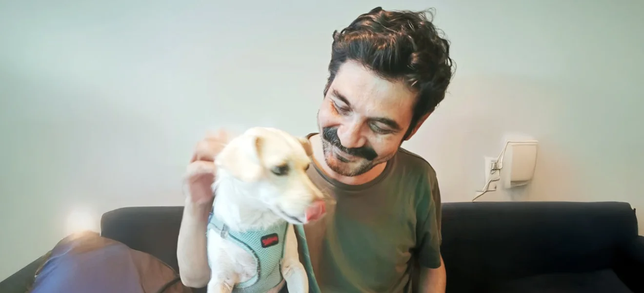 Şehrin köpekleri geri döner mi?