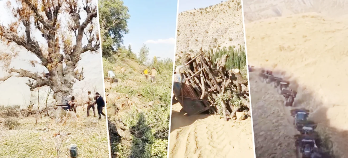 Antalya’da iklim, Zap’ta kıyım