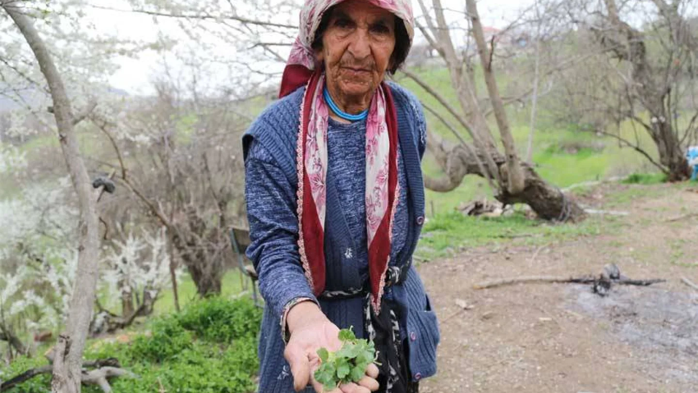 XARIK DERSIM