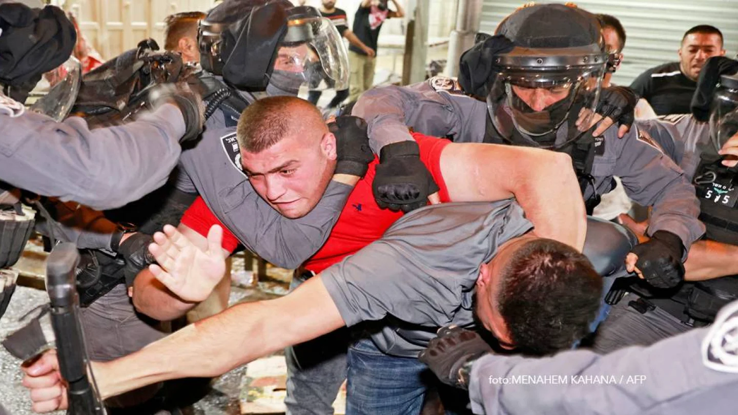 fotoğraf: APF