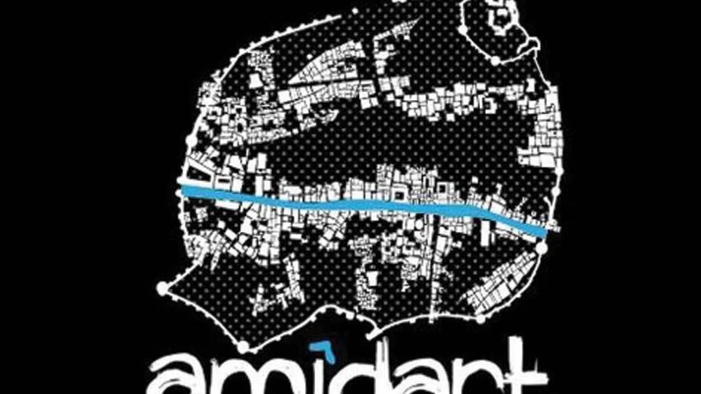 AMIDART