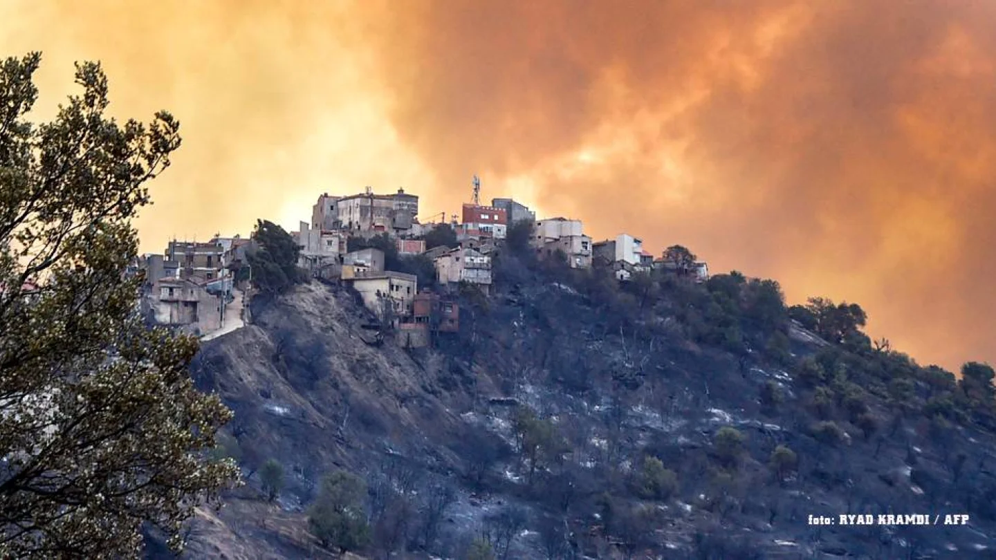 Cezayir'de orman yangınları sürüyor/foto: AFP