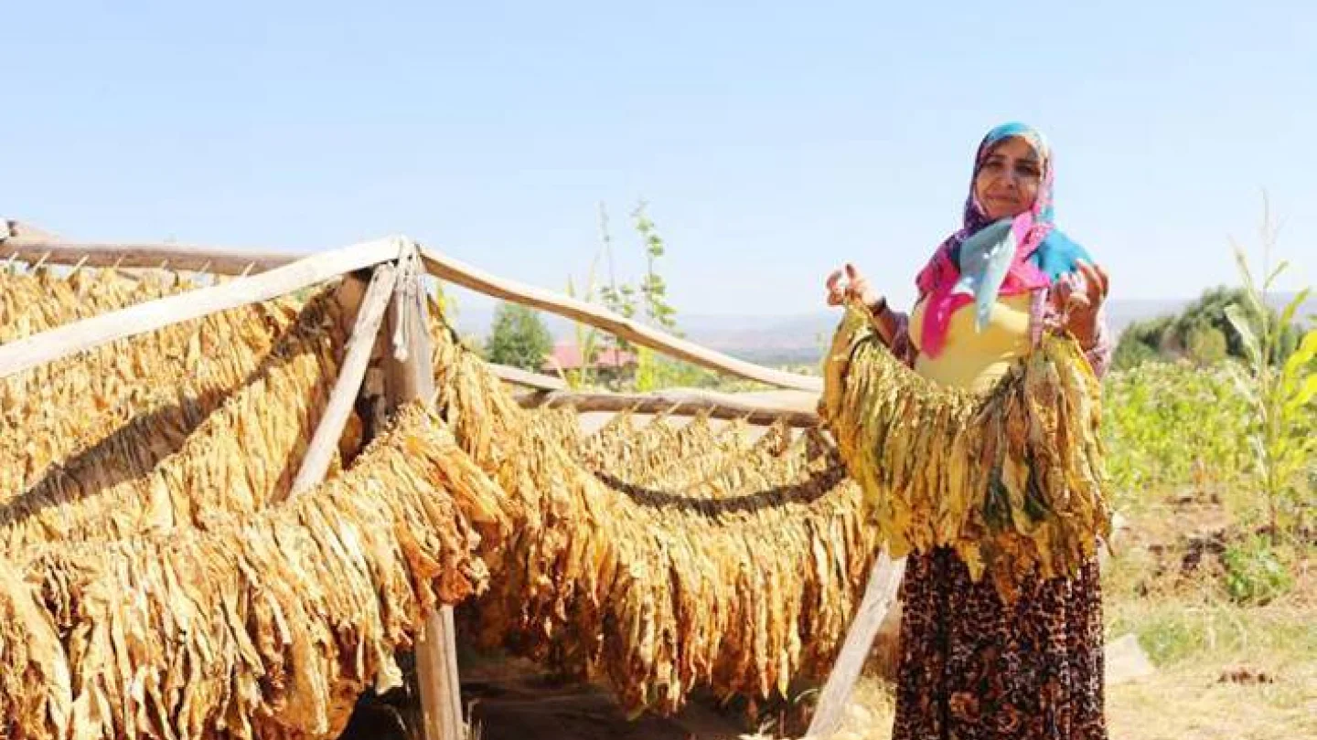 Reyhan Kırık