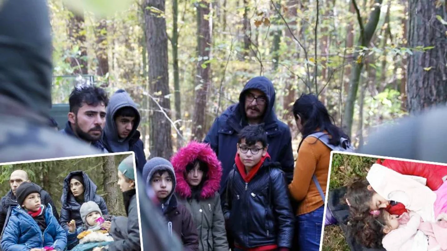 Polonya-Belarus sınırında mülteciler ölüme terk edildi