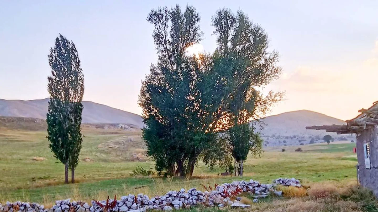 Sarız