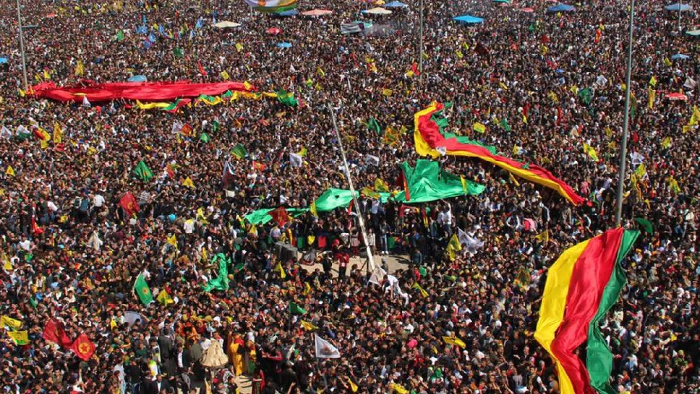 Amed 