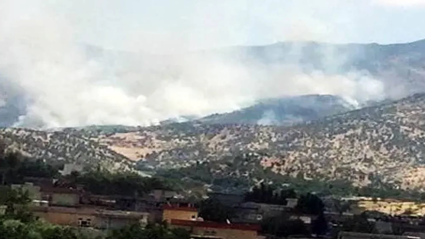 Federe Kürdistan Bölgesinde ormanlar yakılıyor