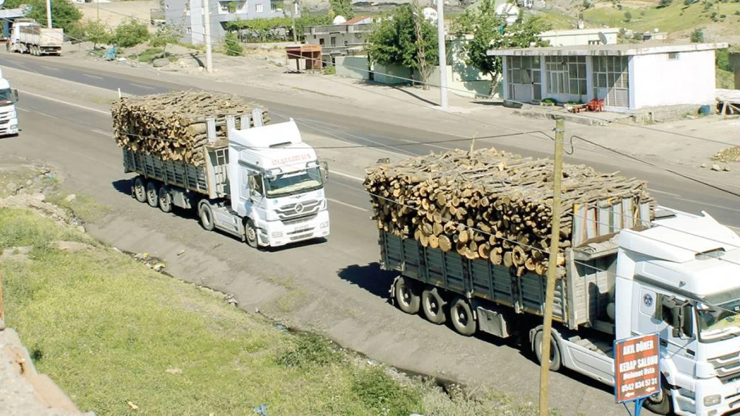 Şırnak'da doğa katliamı ve talan