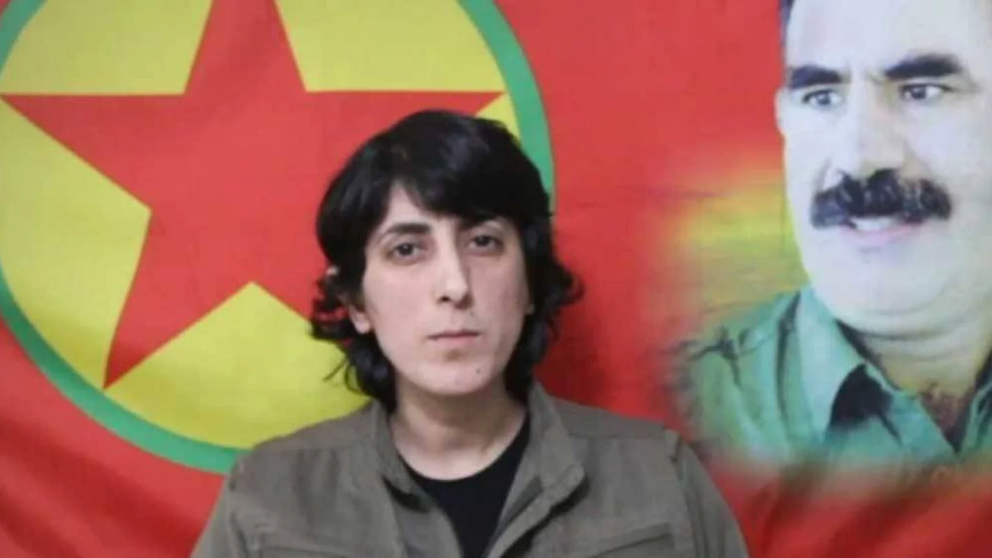 Zozan Tolan (Dilşah Ercan)