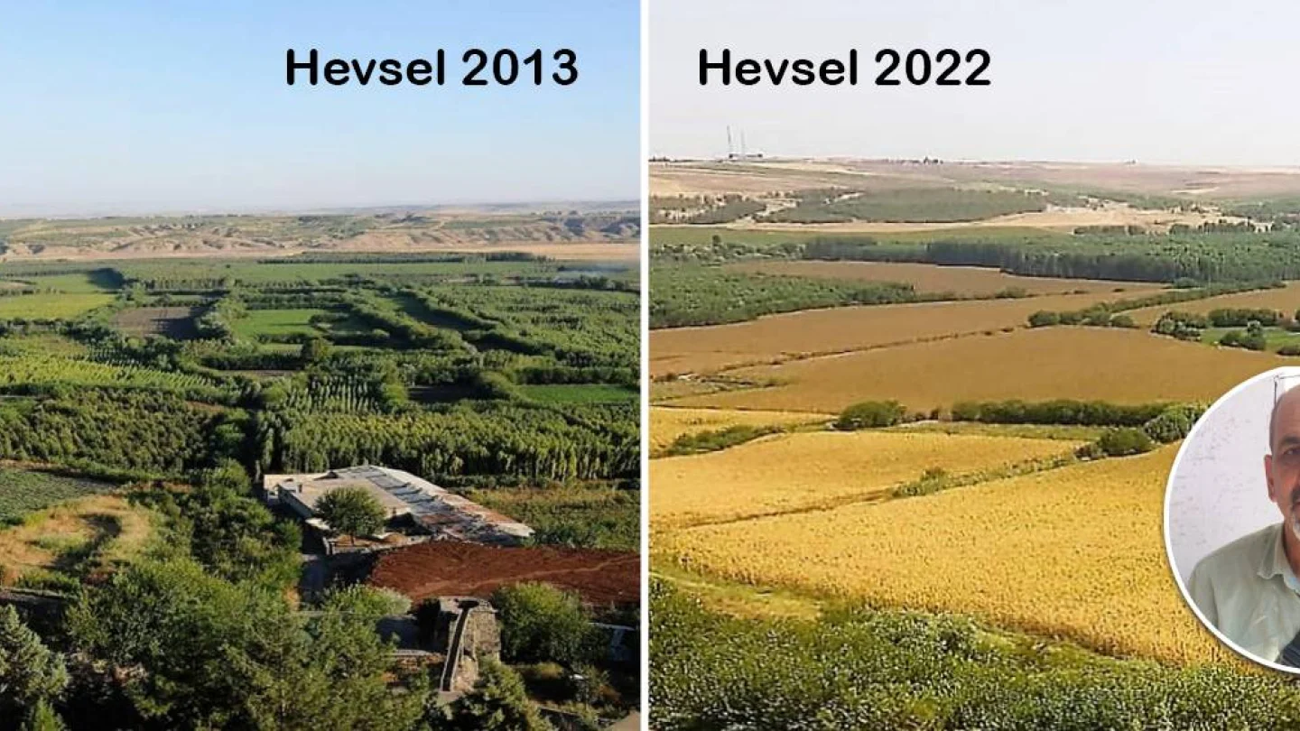 Hevsel 2013 - 2022