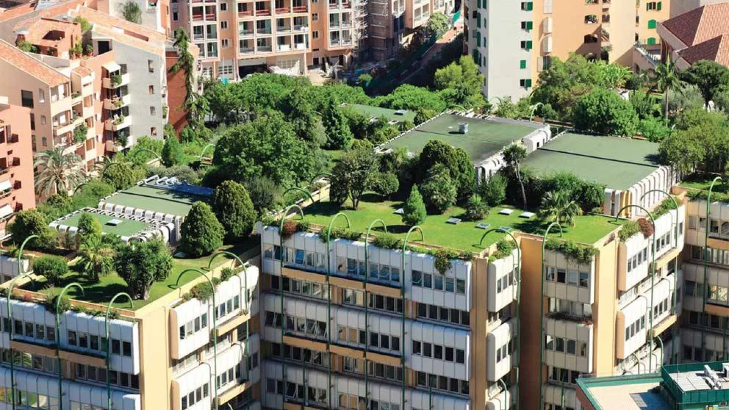FRANKFURTYESILEV