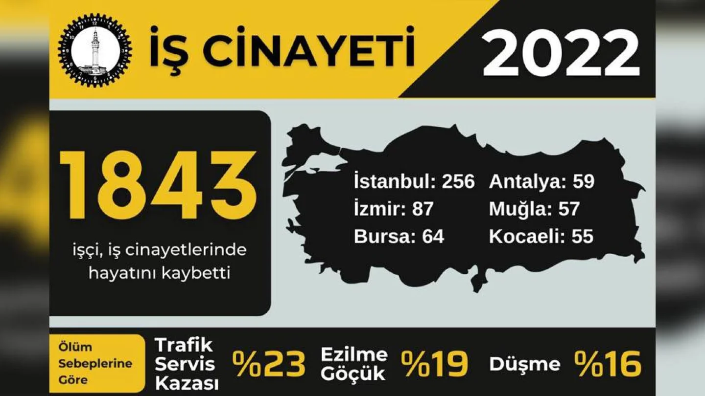 İş Cinayeti verileri