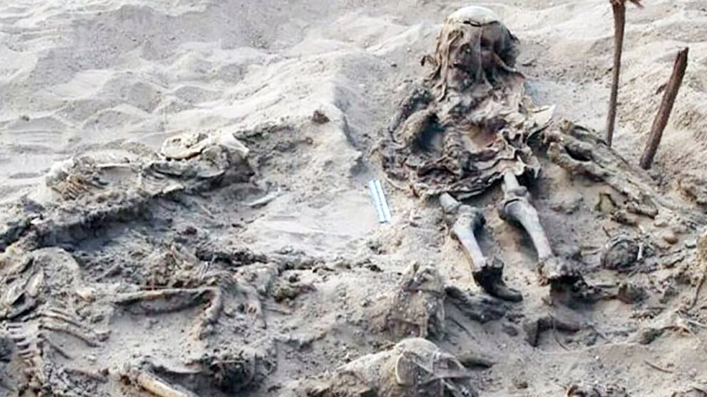 142 köpekle gömülü çocuk