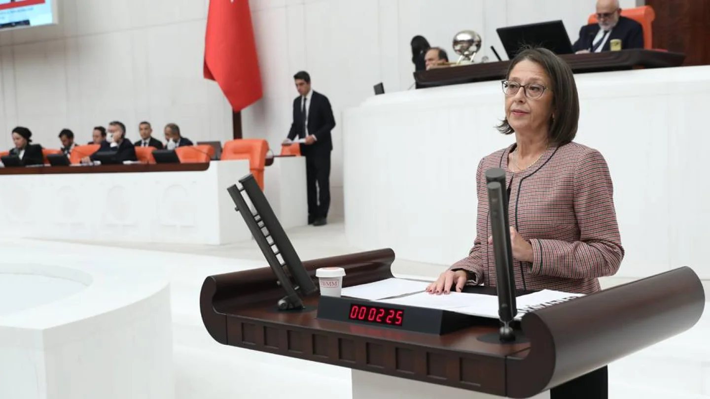 HDP İstanbul Milletvekili Oya Ersoy