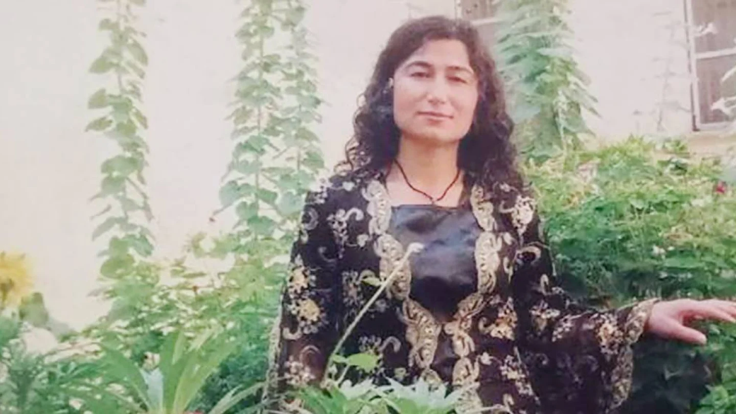 Hazine Alçı