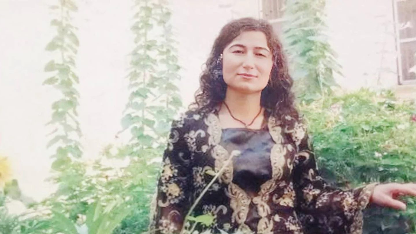 Hazine Alçı