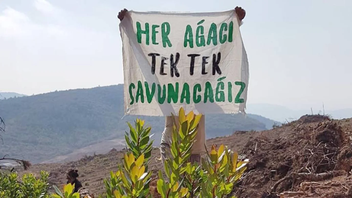 Doğa kıyımı