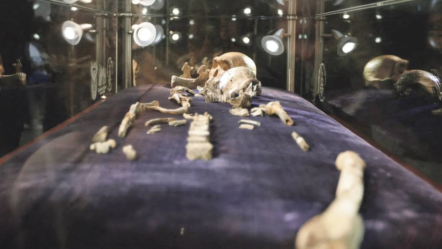 Homo Naledi