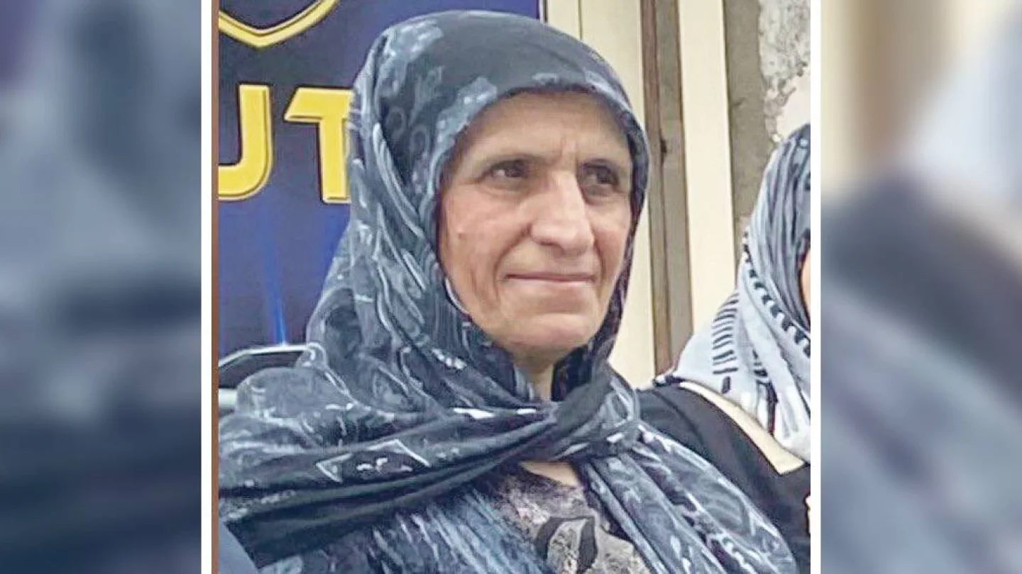 Dayîka Sîsin (Perişan Akçelik)