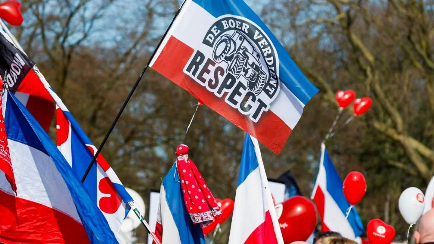 Hollanda'da seçimler