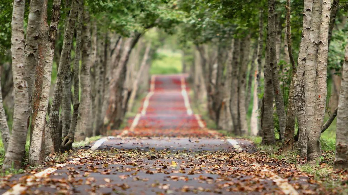 Yol/foto:Pixabay