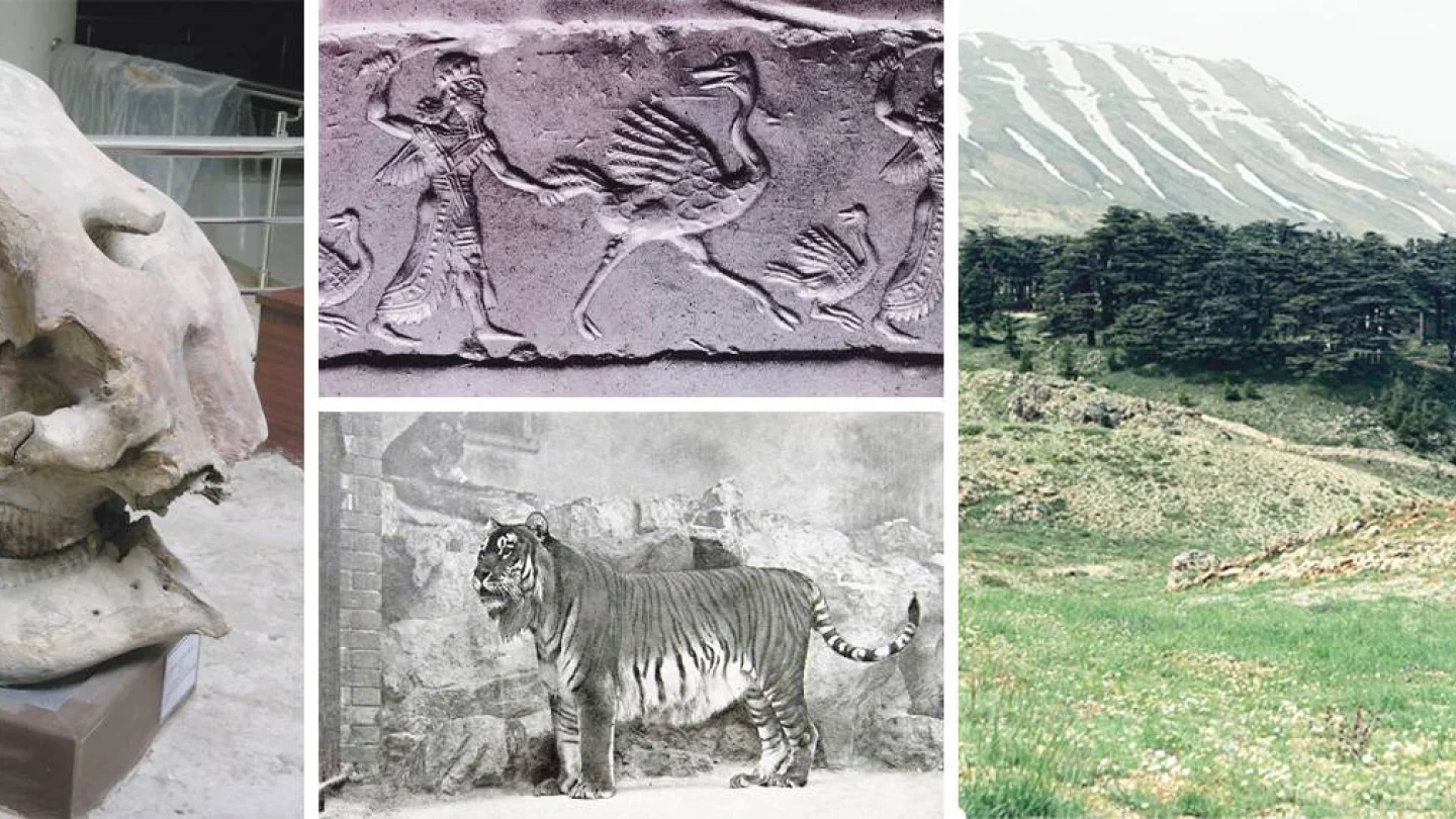 Mezopotamya tarihi ve coğrafyası