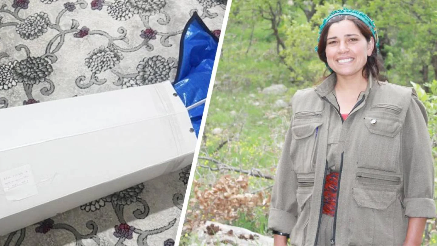 Axîn (Menfiyat Elçiçek)
