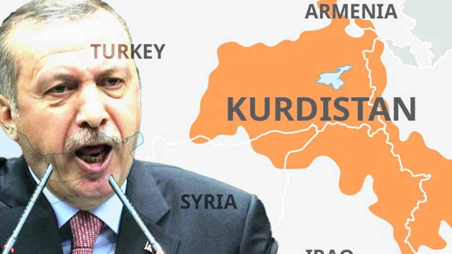 Erdoğan faşizmi
