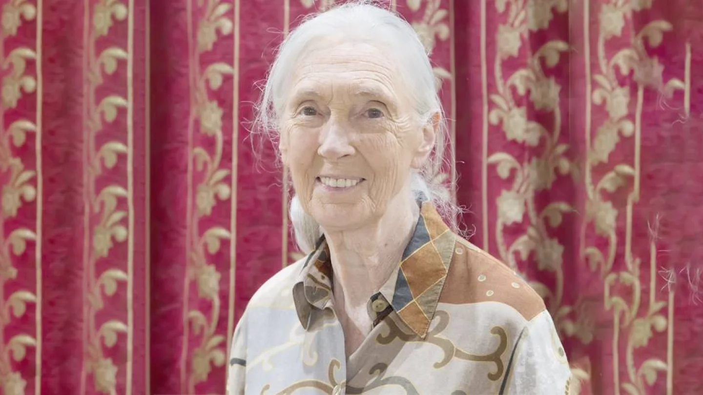 Jane Goodall