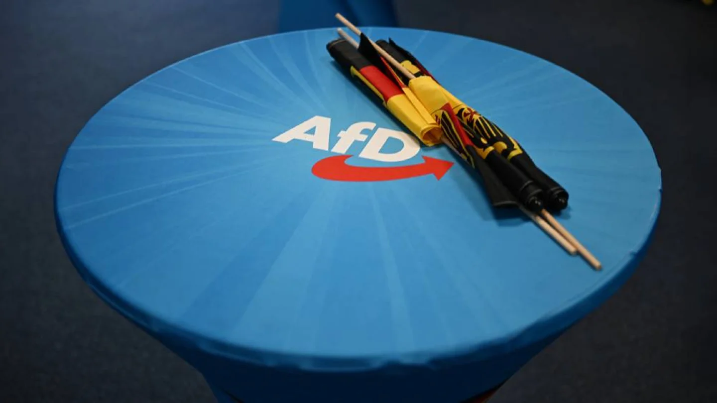 AfD/foto:AFP