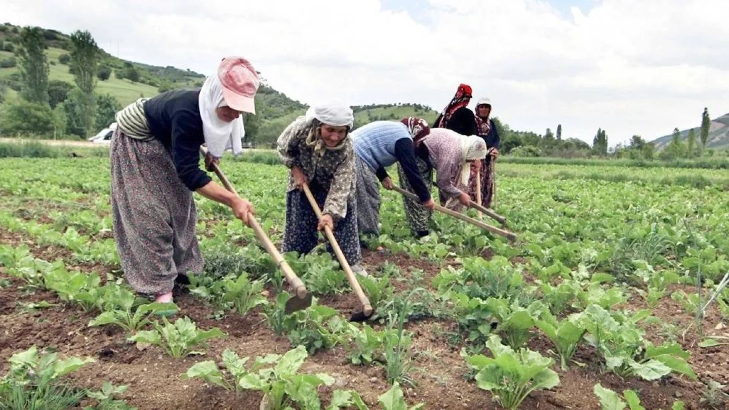 Mevsimlik kadın işçiler