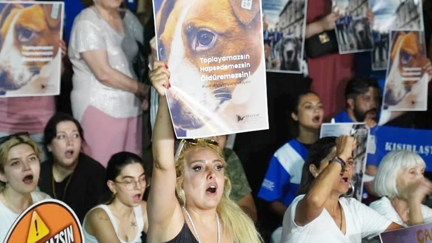 Hayvanları Koruma Kanunu'na karşı eylem