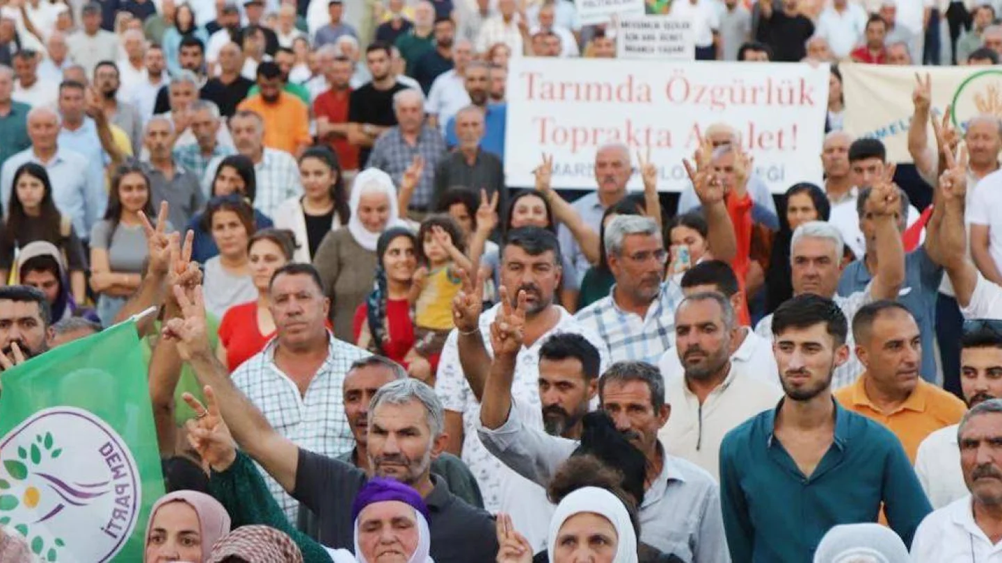 Ekmek ve Adalet Kampanyası, Mardin