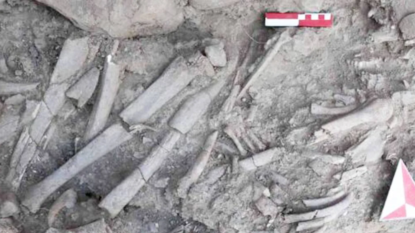 Dicle kıyısında bulunan 12 bin yıllık kadın mezarı