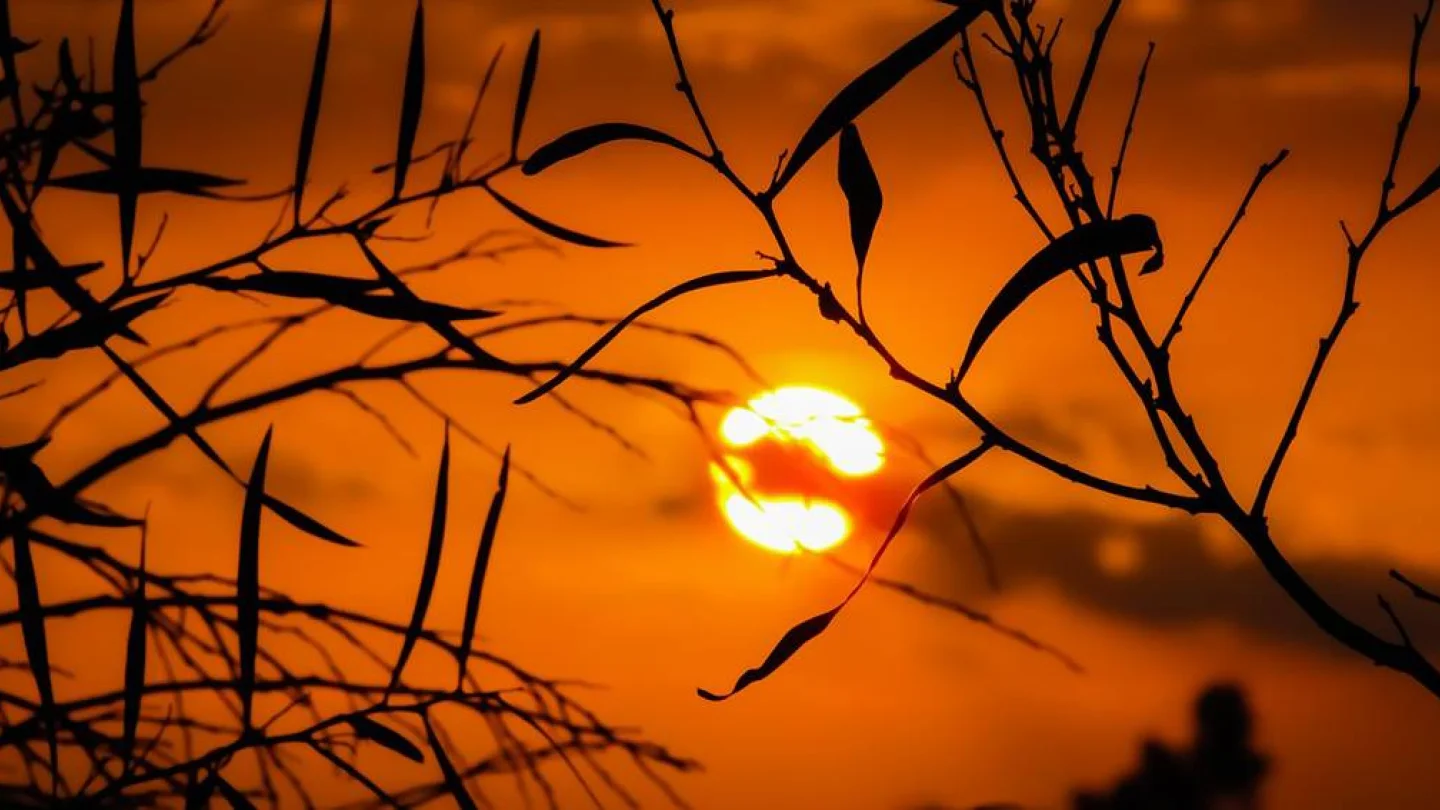güneş:foto:pixabay