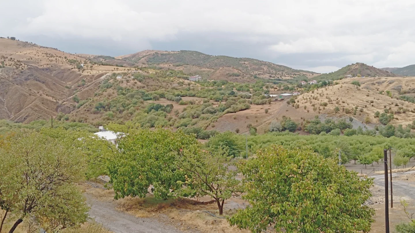 Axzunik