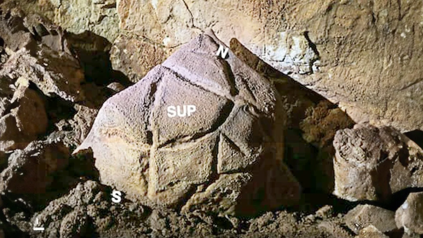 Manot Mağarası, kaplumbağa deseni