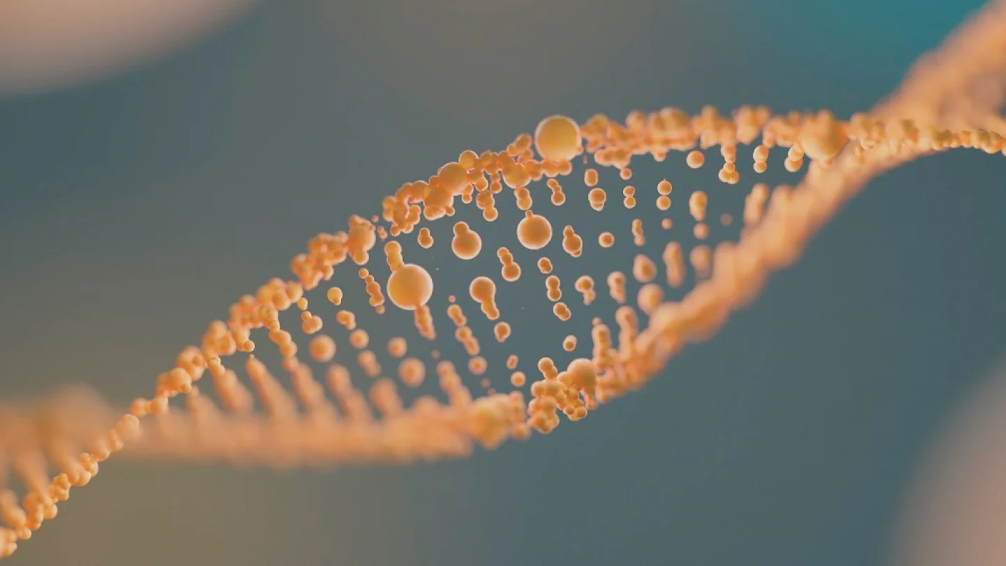 DNA