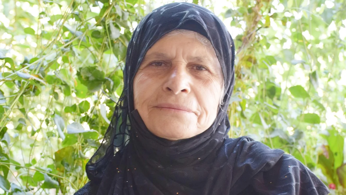 Suat Ana