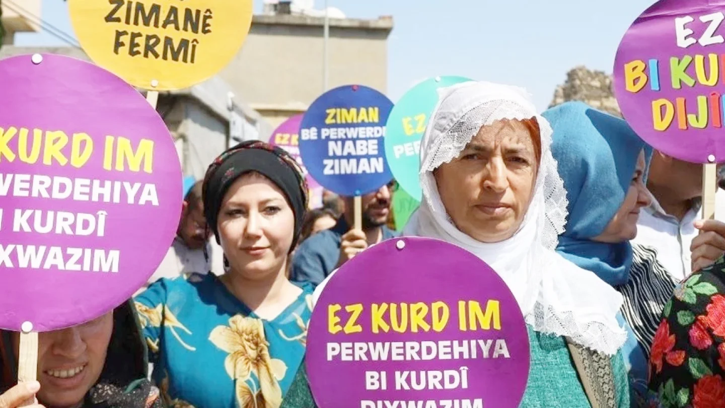 Ana dil eylemi