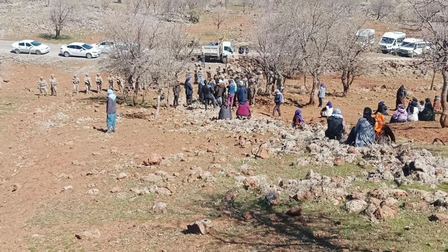 Xana Axpar (Çınar)