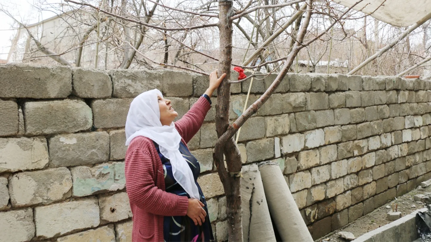 Ayten Salgür