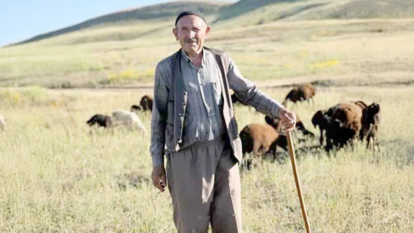 Mehmet Zeki Sayak