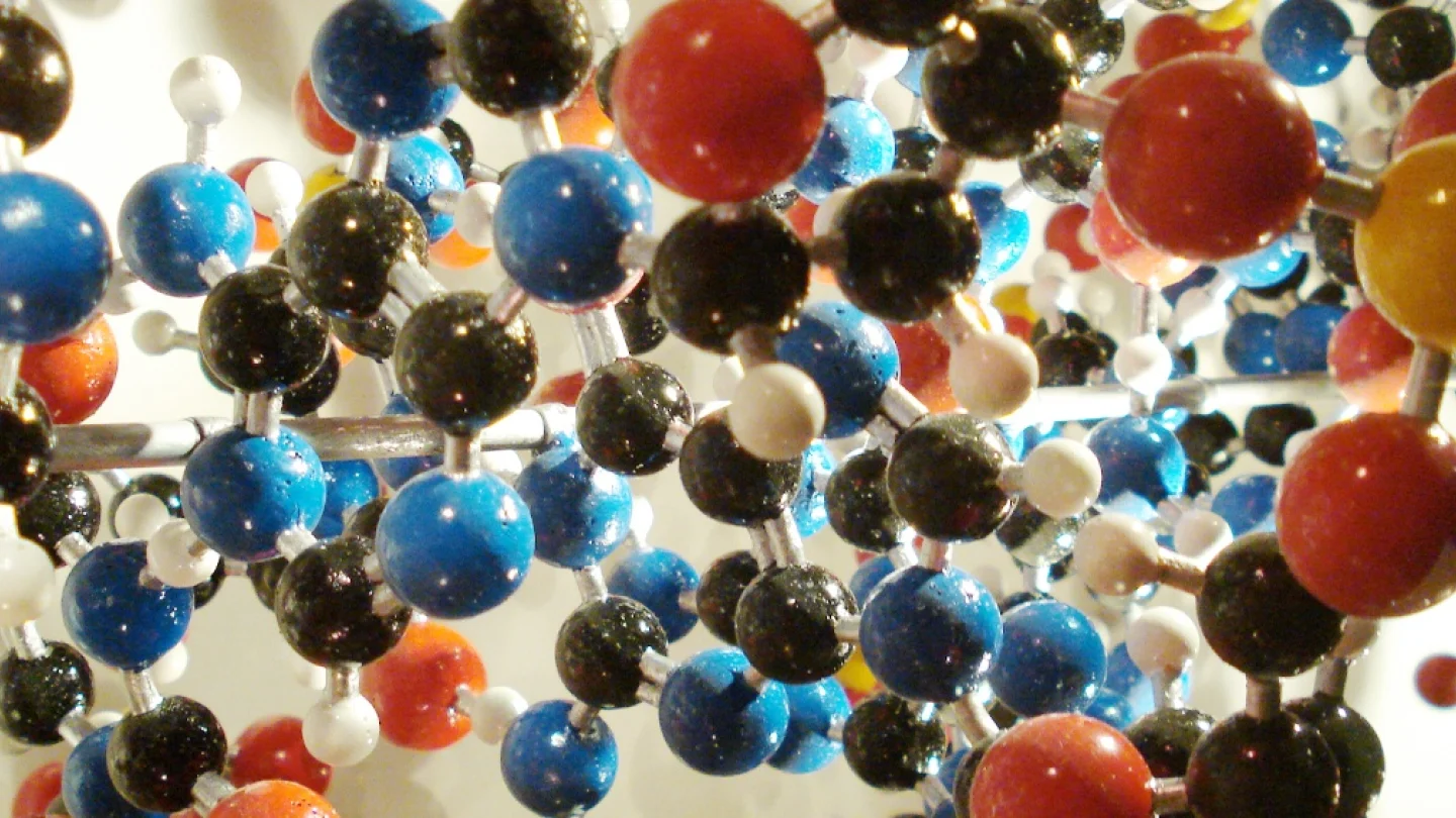 DNA molekülleri