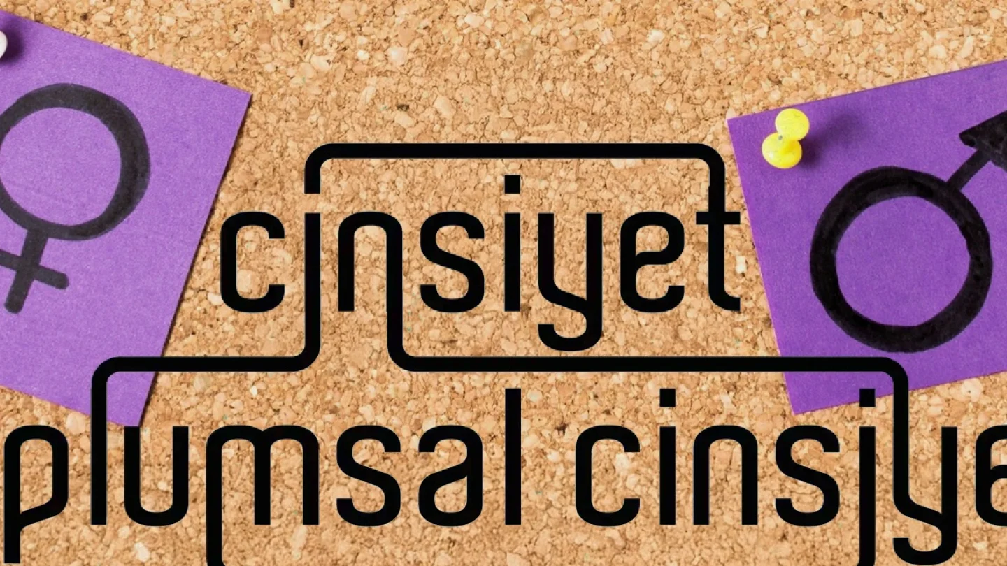 Toplumsal cinsiyet